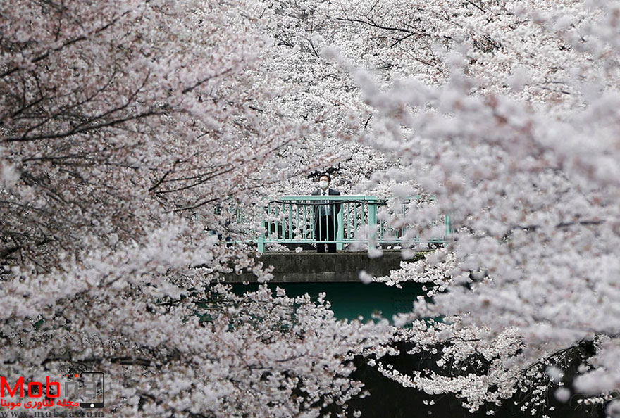 best-reuters-photos-2016-41-585795fcdf8b9__880