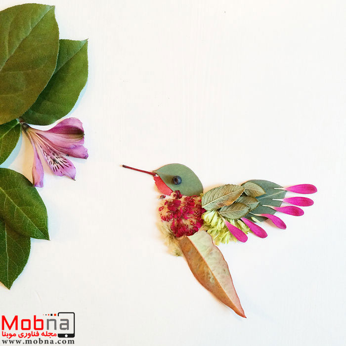 hummingbird_a-584b37ee6d160__700