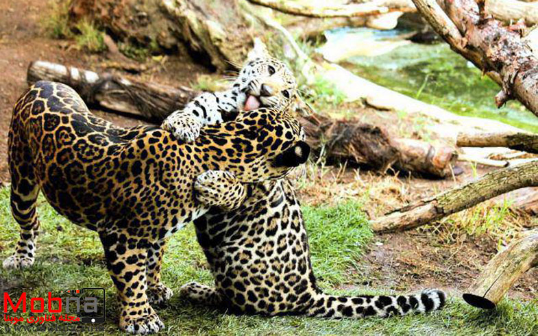 photo_2016-12-18_12-01-01