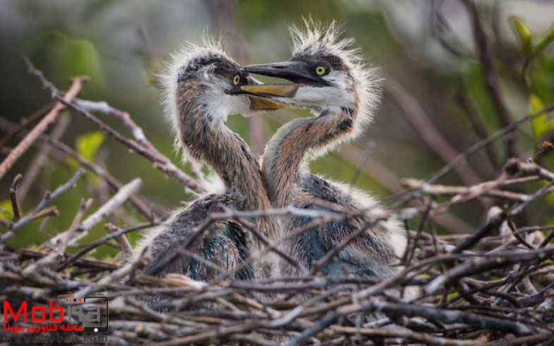 photo_2016-12-18_12-01-02