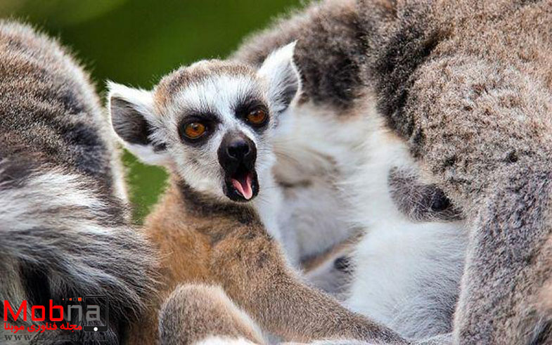 photo_2016-12-18_12-01-03