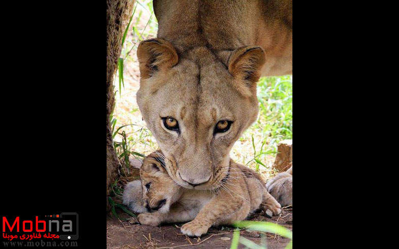 photo_2016-12-20_05-21-13