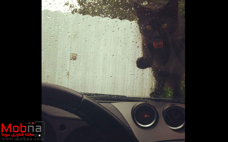 photo_2016-12-20_05-21-15