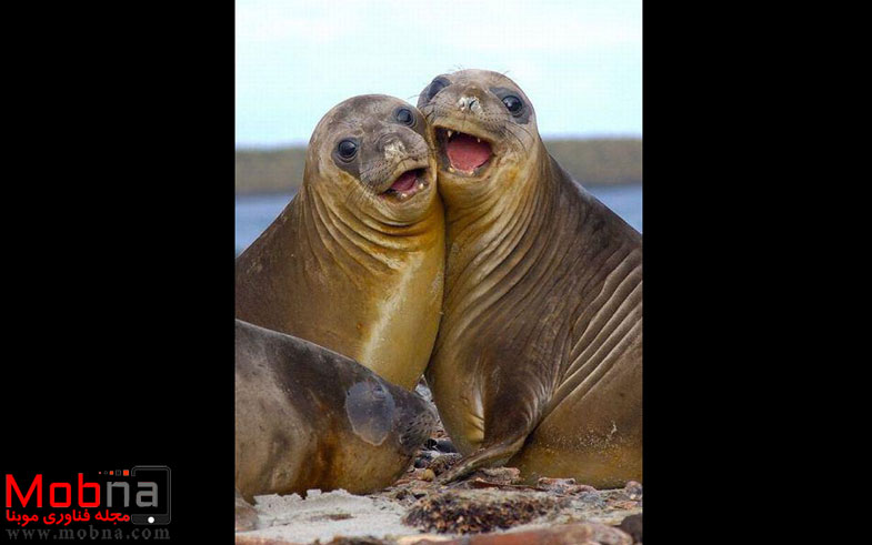 photo_2016-12-20_05-21-16