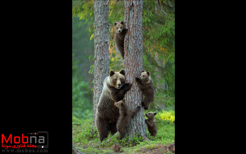 photo_2016-12-24_07-24-09