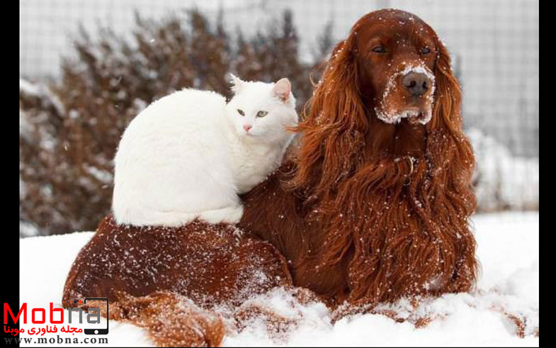 photo_2016-12-24_07-24-11