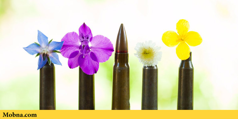 Biodegradable Bullets That Sprout Plants (2)