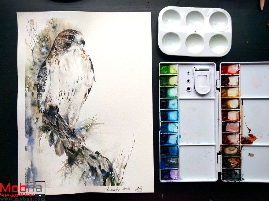 IMG_20170116_102954-587cf8d9d495f__880