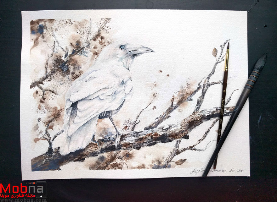 IMG_20170116_103102-587cf90d542b0__880