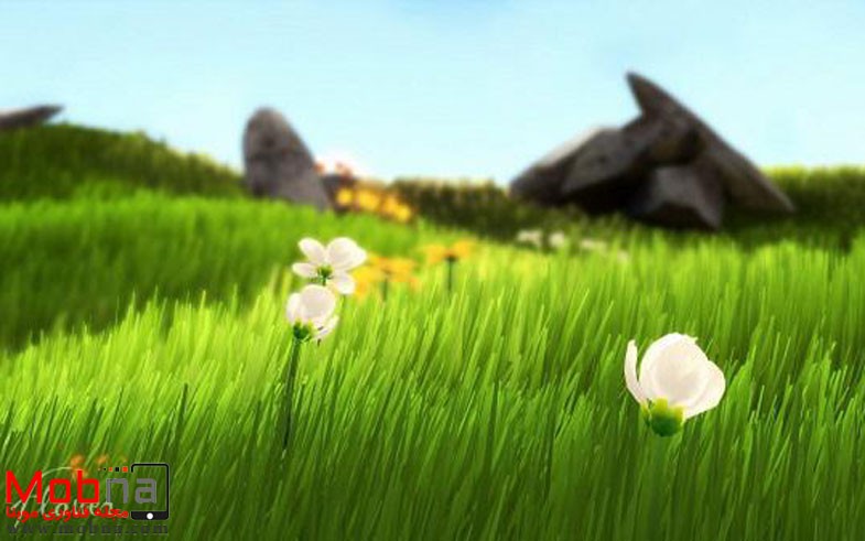 photo_2017-01-02_07-12-07