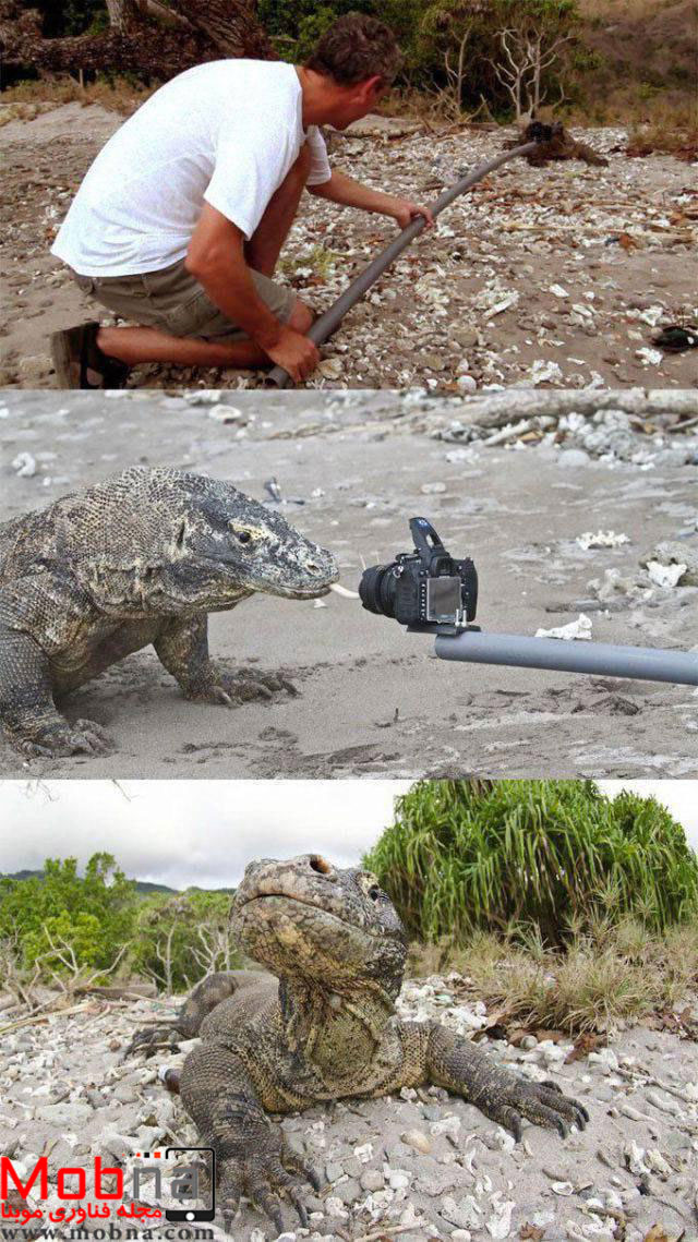 photo_2017-01-14_08-20-00