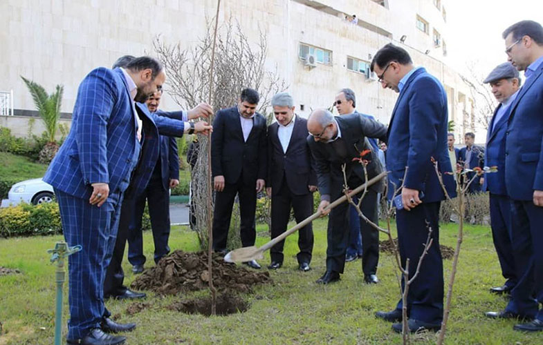 غرس نهال توسط مدیرعامل بانک ملّی ایران