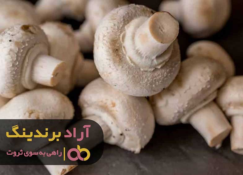 چرا فروش قارچ خوراکی جنگلی بالا می باشد؟