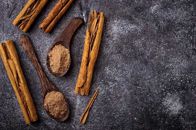 درخت دارچین؛ درختی که از تمام آن بوی بسیار مطبوع استشمام می شود!