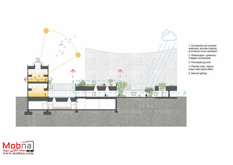 چینی ها عجب مدرسه ای ساخته اند!