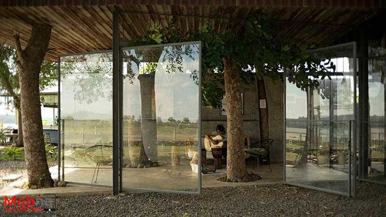 یک خانه روستایی خاص در ویتنام 