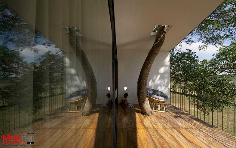 یک خانه روستایی خاص در ویتنام 