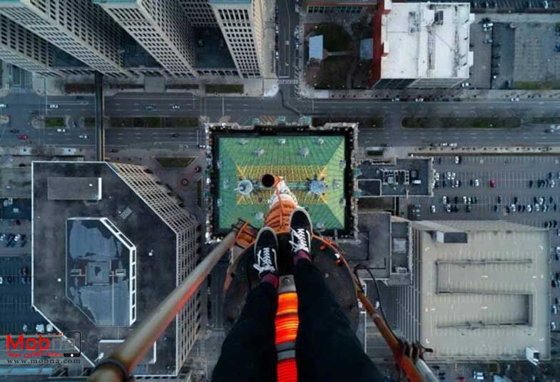 مجموعه بدون شرح؛ از بازار ماهی فروشان تا گاو مهربان!