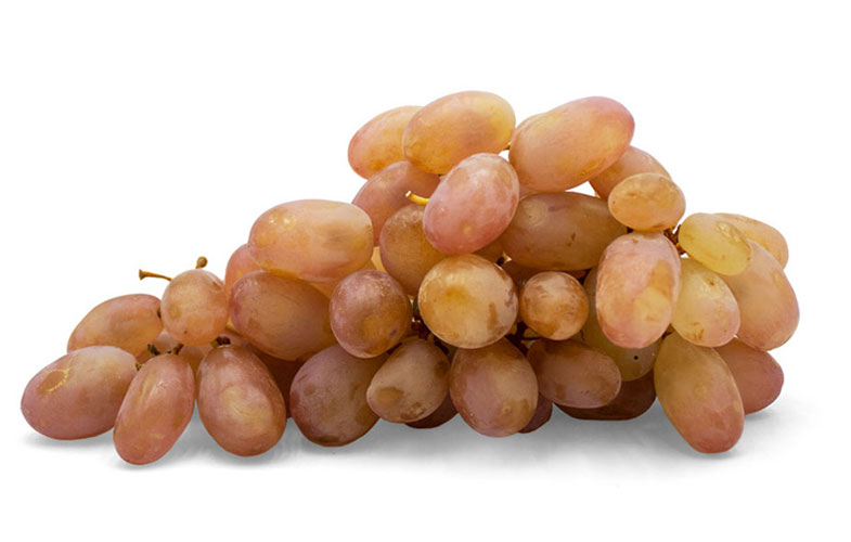 انگور؛ میوه ای که اکسیر جوانی است