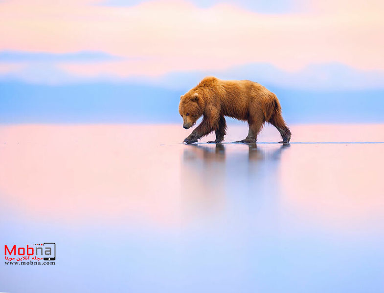 تصاویر برتر در «عکس بزرگ» 2023 