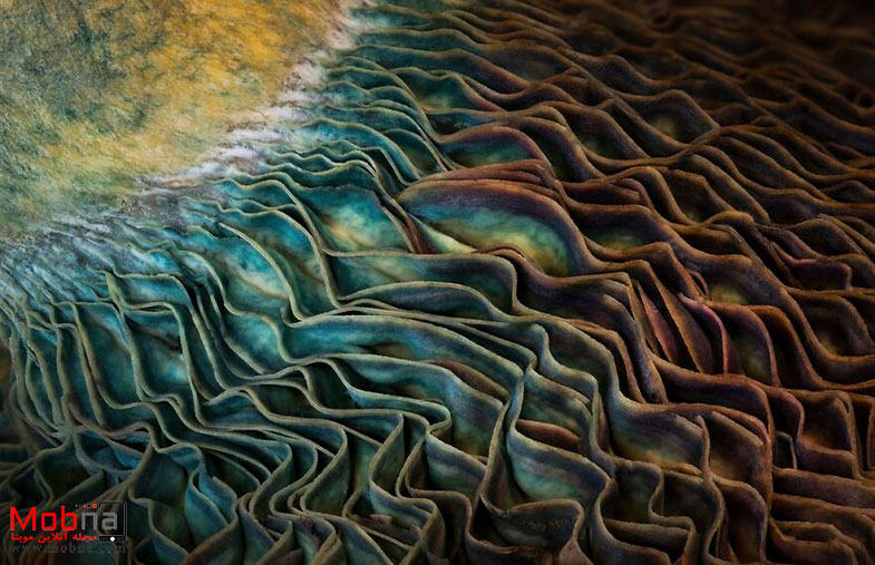 تصاویر برتر در «عکس بزرگ» 2023 