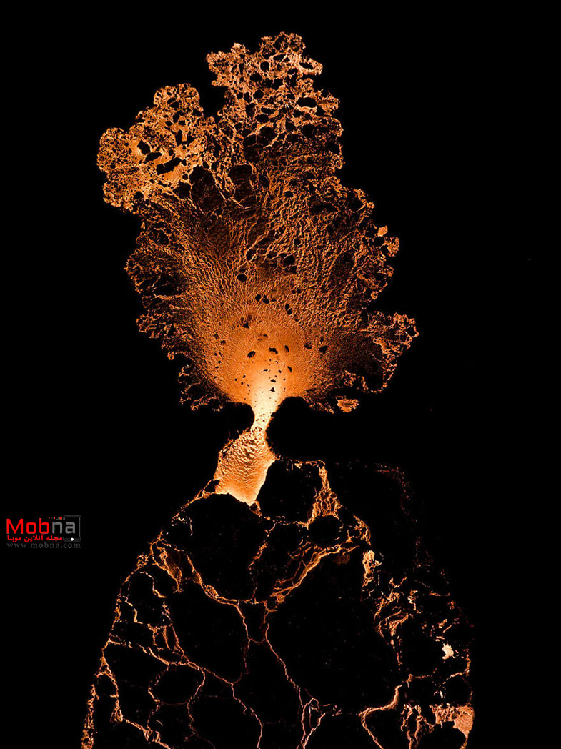 تصاویر برتر در «عکس بزرگ» 2023 