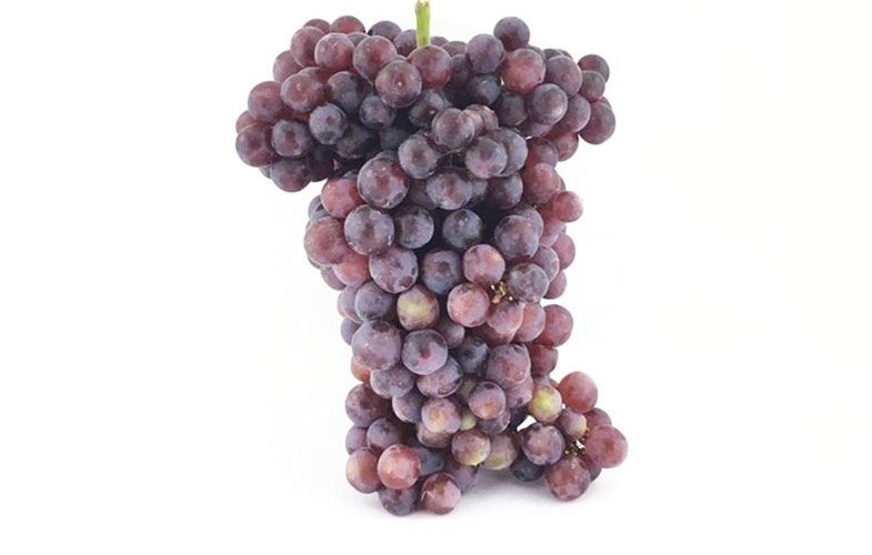 انگور؛ میوه ای که اکسیر جوانی است