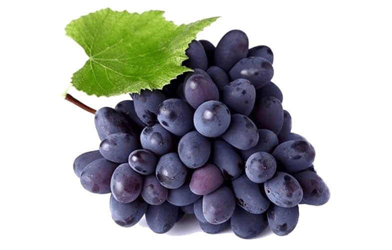 انگور؛ میوه ای که اکسیر جوانی است