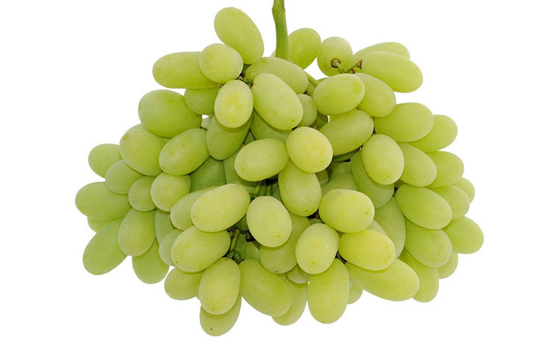 انگور؛ میوه ای که اکسیر جوانی است