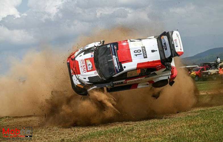 مجموعه بدون شرح؛ از بازار ماهی فروشان تا گاو مهربان!