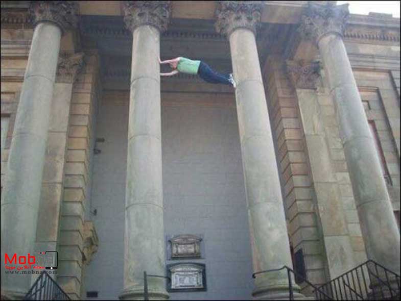 مجموعه بدون شرح؛ از بازار ماهی فروشان تا گاو مهربان!