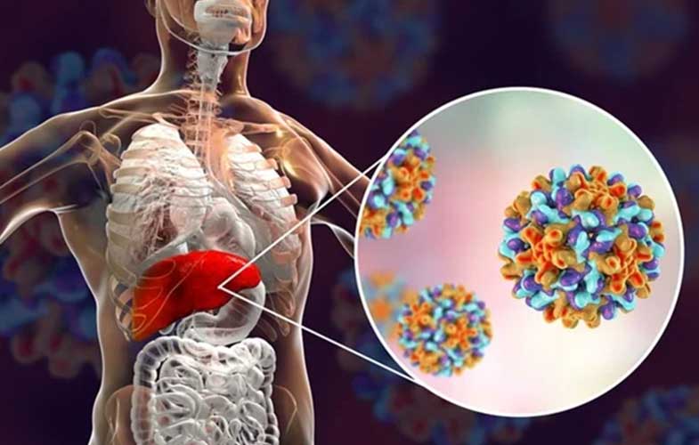 این افراد حتما واکسن هپاتیت B را بزنند