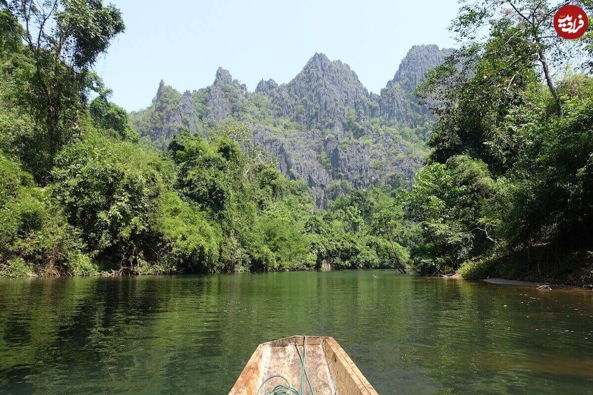 شناسایی یک گونه عجیب در لائوس