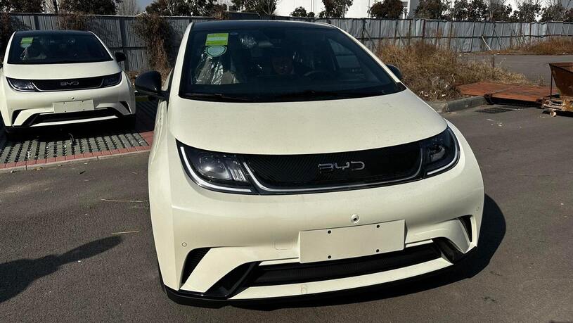 BYD دلفین چمپیون