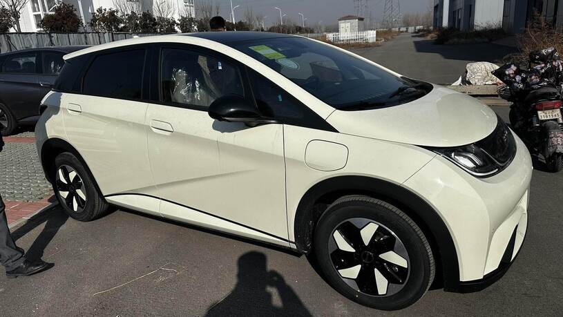 BYD دلفین چمپیون