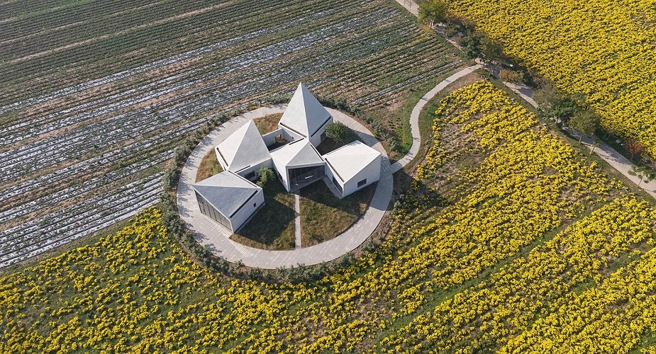 کتابخانه روستایی آتلیه Xi مجموعه ای از بلوک های زاویه دار در یک زمین پوشیده از گل است