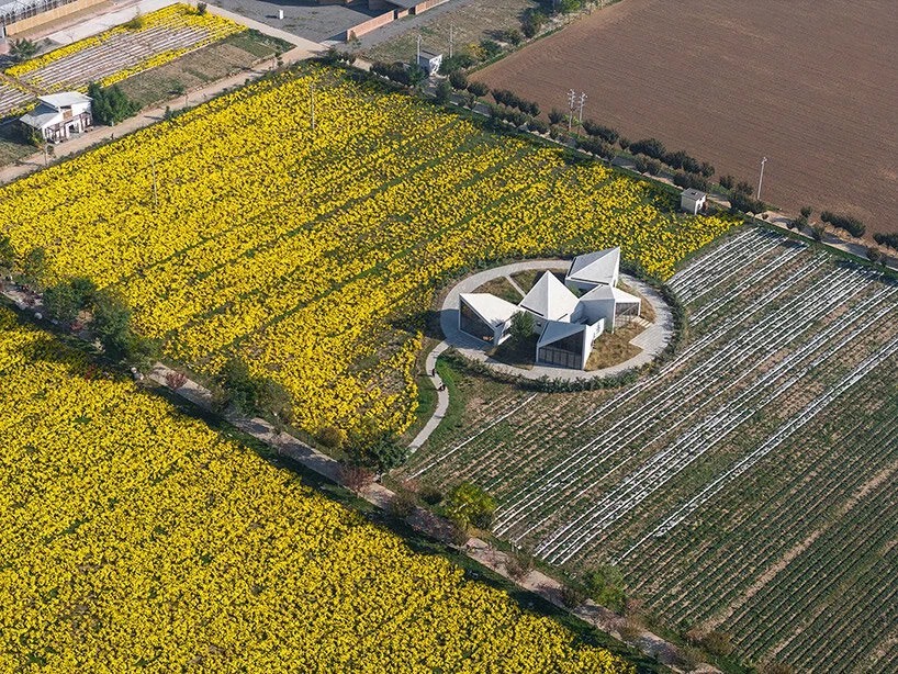 کتابخانه روستایی آتلیه Xi مجموعه ای از بلوک های زاویه دار در یک زمین پوشیده از گل است